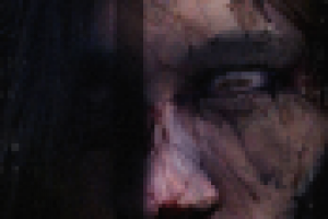 портретная серия