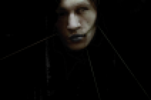 портретная серия