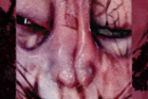 портретная серия