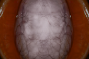 портретная серия