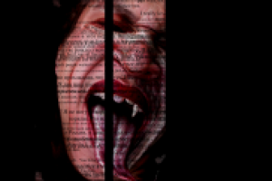 портретная серия