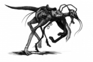 "Камелотский мустанг"