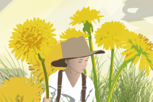 Одуванчики