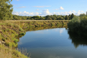 Родные просторы