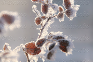 В зимних одеждах