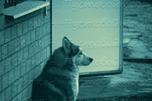 Скоро зима...