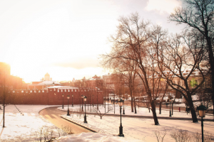 Работа 3317607