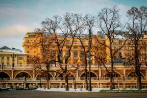 Работа 3317606