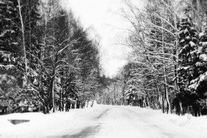 Работа 3317564