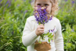 Работа 3453718