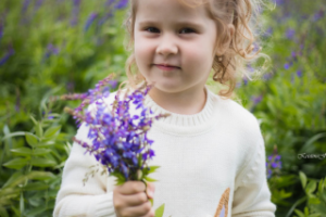 Работа 3453716