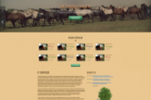 Алтайский Конный завод