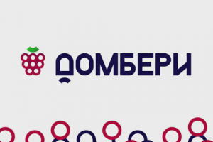 Фирменный стиль для риэлторского агентства "Домбери"