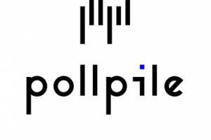 Логотип и фирменный стиль для сервиса "Pollpile"