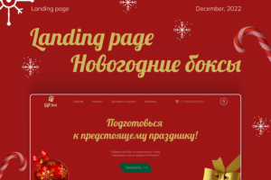 New Year Gift Boxes | Landing page