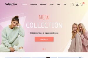 Дизайн многостраничного сайта одежды | E-commerce |