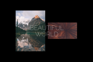 Beautiful world