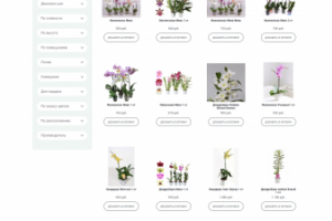 Описание для интернет-магазина цветов в горшках