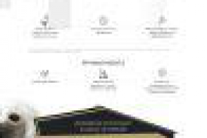 Лендинг (прототип + текст) мягкая игрушка афганская борзая