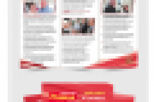 Партия Родина