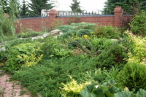 Работа 1971366