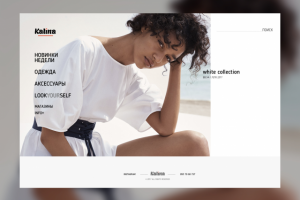 KALINA-женская одежда – интернет магазин