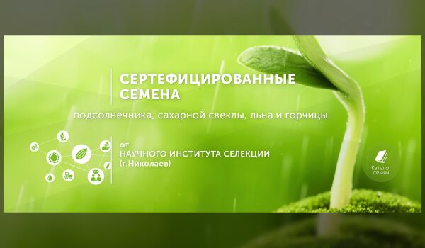 img3375008.png