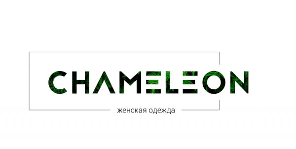 img3233384.png