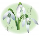 img2210260.png