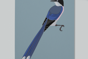 Иллюстрация птицы