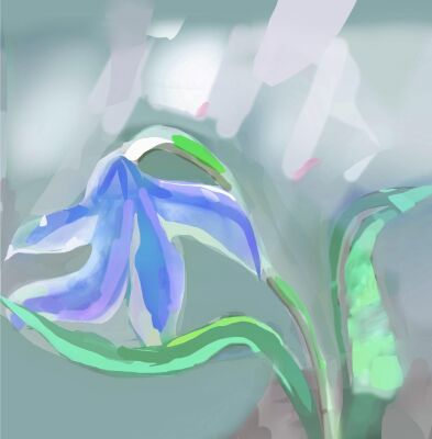 img4414233.png