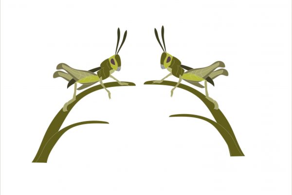 img4414242.png