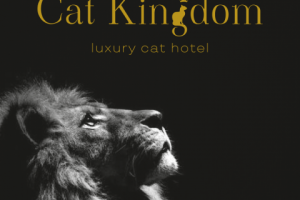 Cat Kingdom