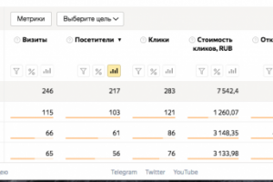 Тестовый запуск. Бюджет 1000 рублей