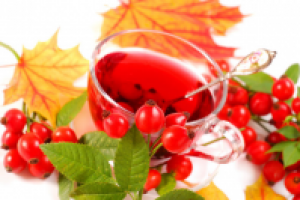 Шиповник при беременности: отвар, сироп, дозировка