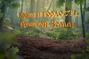 Разработка заставки