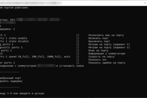 Консольная прослойка Telnet, для менее опытный пользователей