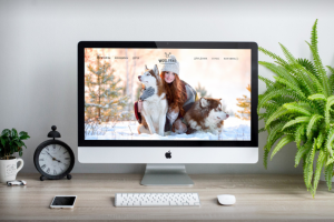 Wool Frnd. - Проект Интернет-магазина одежды из собачьей шерсти