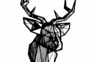 Голова оленя ч/б