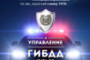 Плакат для ГИБДД (Black)