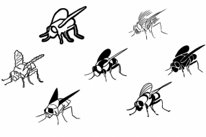 варианты логотипа