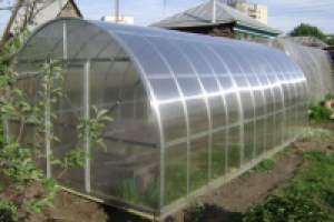 Какие дачные теплицы из сотового поликарбоната лучше купить?