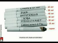img1564478.png