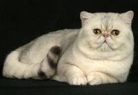 img2292101.png