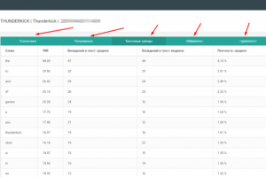 Админ панель с статистикой по SEO