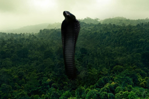 Коллаж змеи Титанобоа