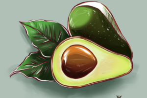 Avocado