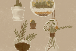 Digital Illustration