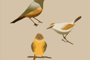 Birds Abstract Art Digital