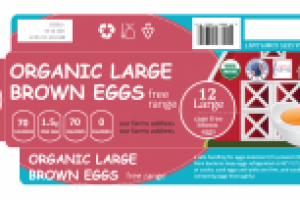 упаковка на яйца